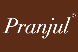 pranjul logo